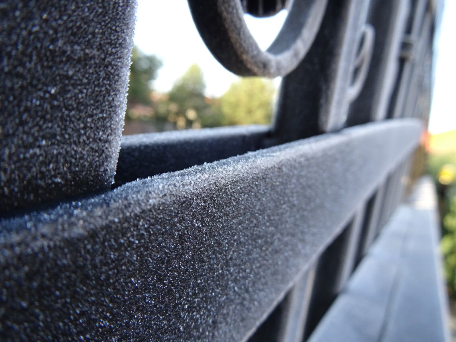 Sony DSC-HX60 sample photo. Frost, winter photography