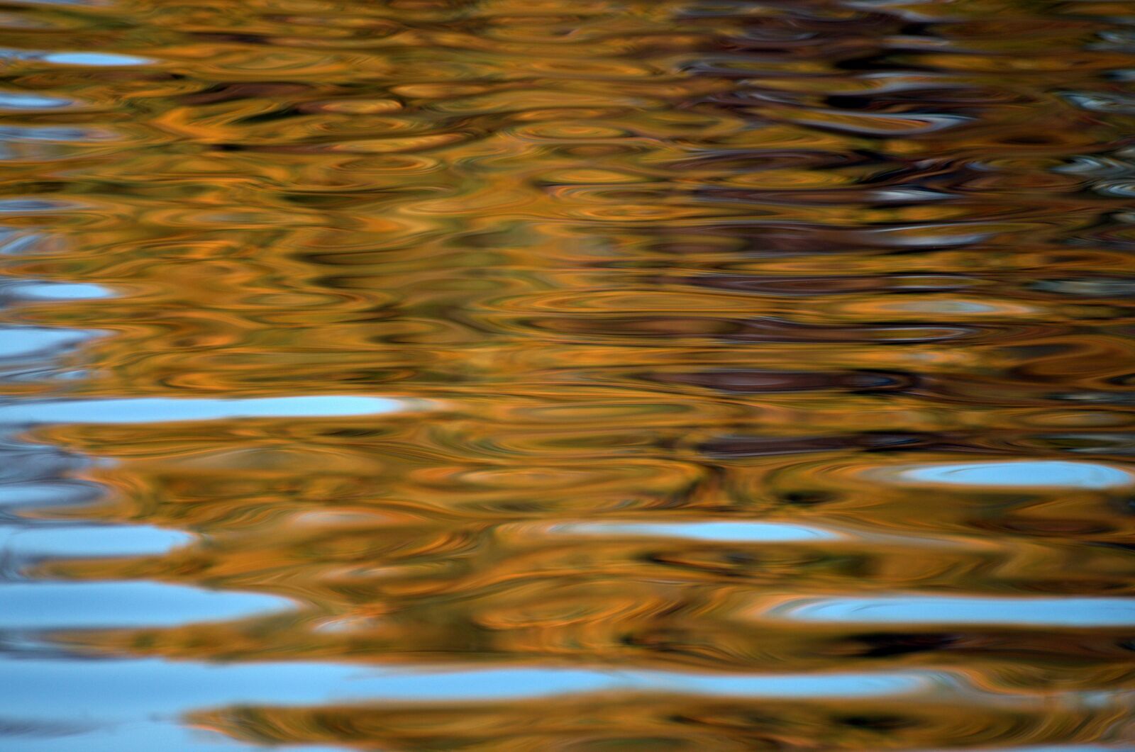 Pentax K-30 sample photo. Water surface, reflection, mirroring photography