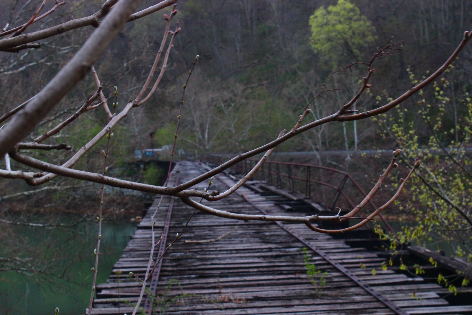Canon EOS 600D (Rebel EOS T3i / EOS Kiss X5) sample photo. Abandoned, bridge, nature, old photography