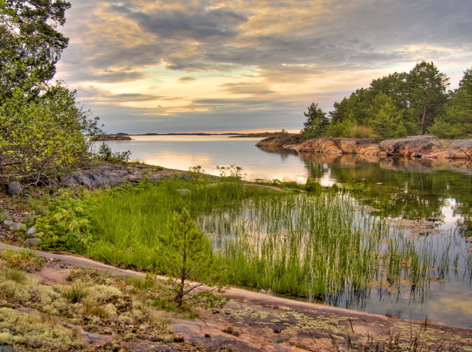 Olympus PEN E-PL7 sample photo. Baltic sea, sweden, coast photography