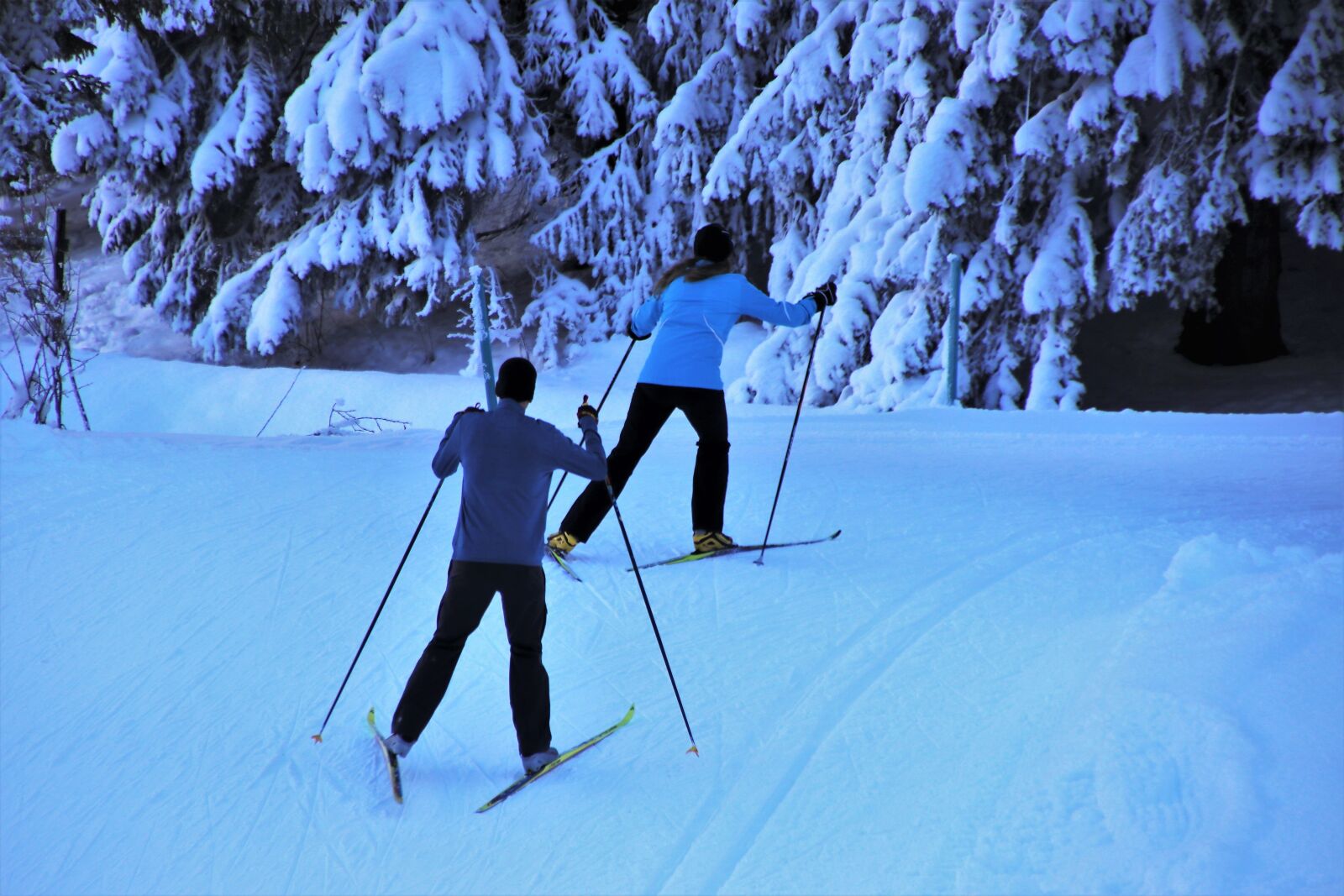 Canon EOS 80D sample photo. Skiers, skis, snow photography
