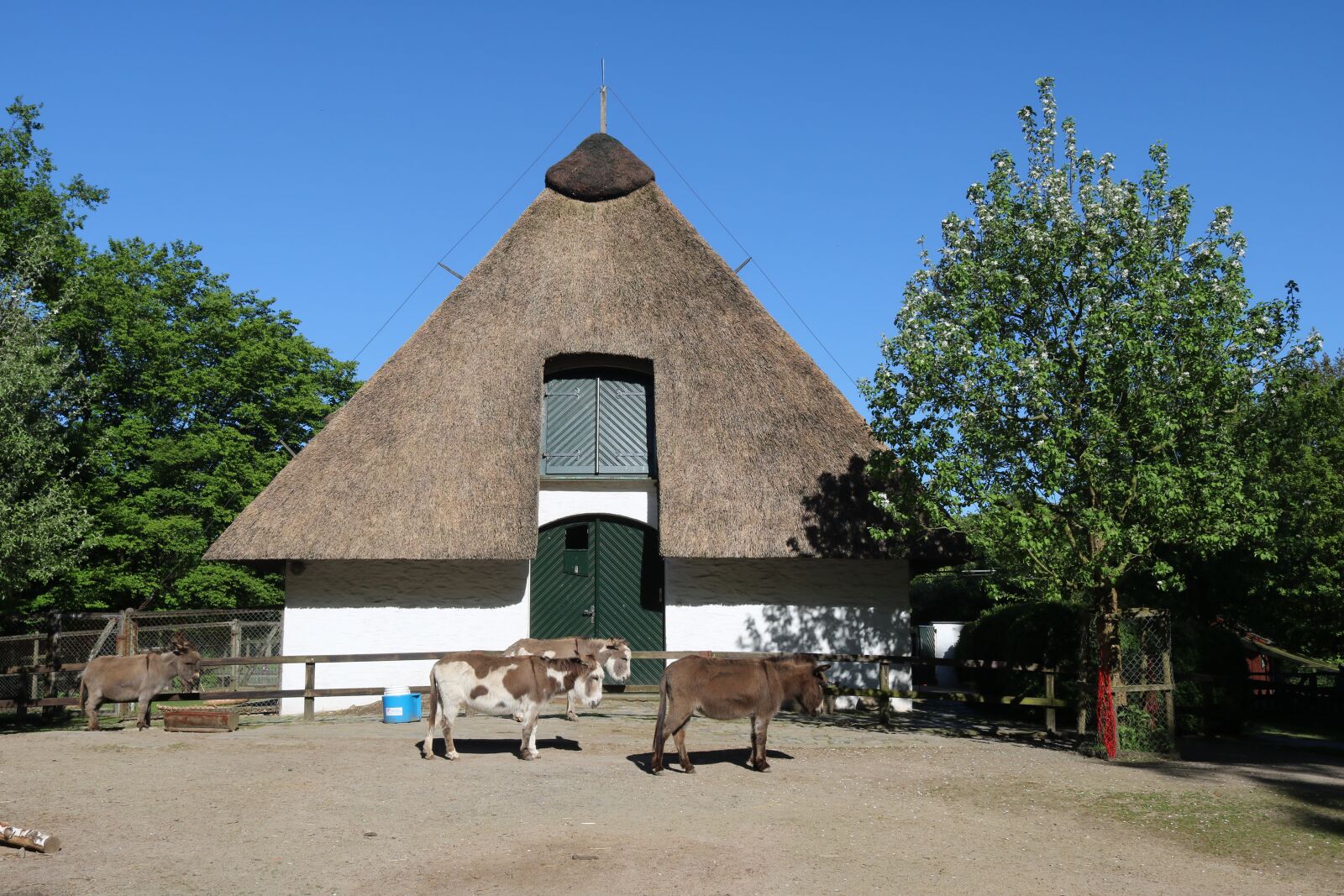 Canon EOS 750D (EOS Rebel T6i / EOS Kiss X8i) sample photo. Bremen, citizens park, animal photography