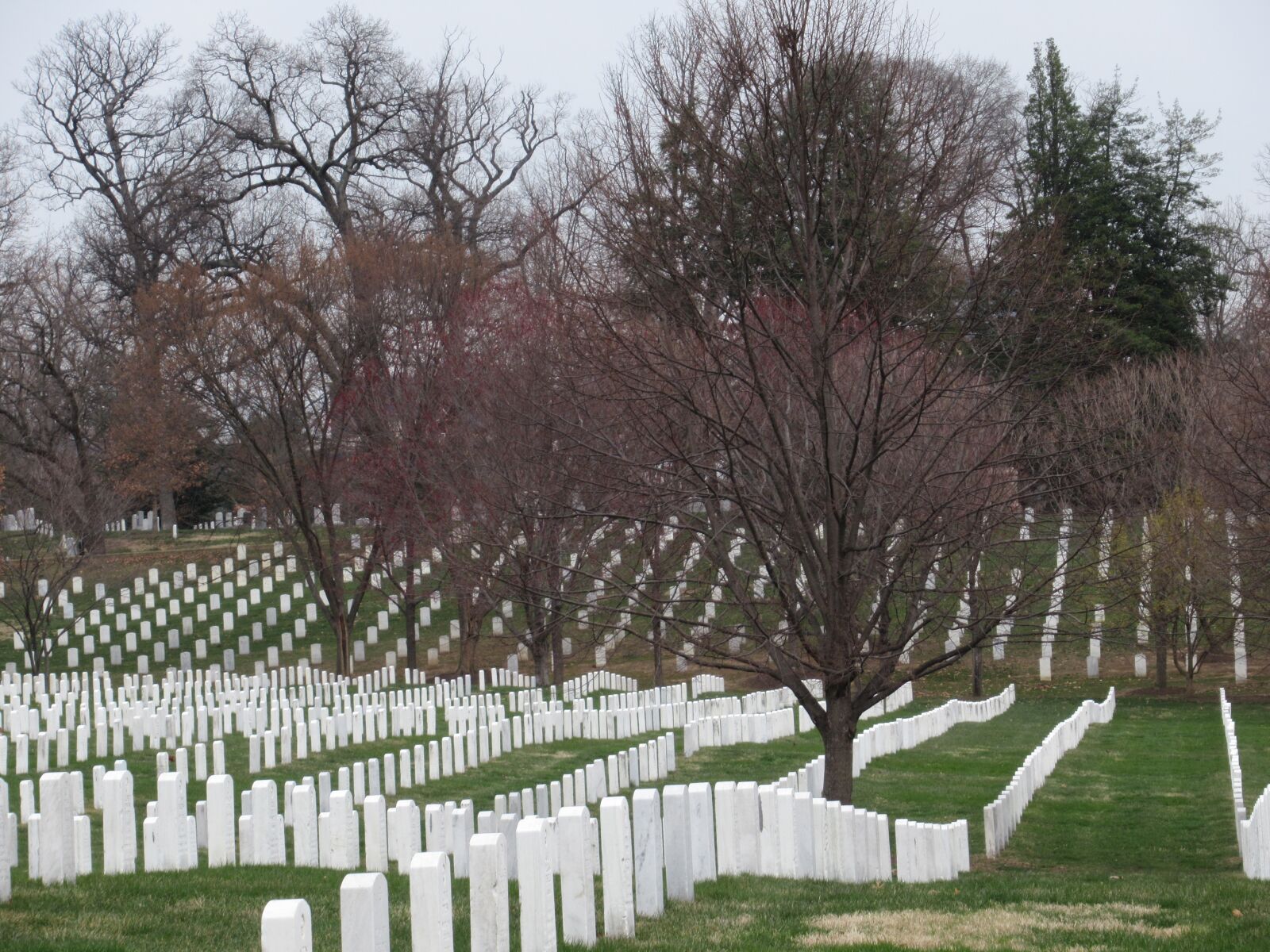 Canon PowerShot SX620 HS sample photo. Arlington national cemetery, trees photography