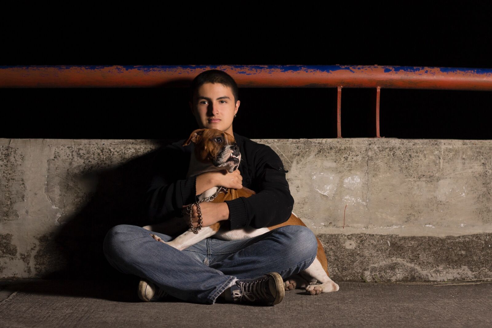 Canon EF 50mm F1.8 II sample photo. Dog, dogs, pet, pets photography
