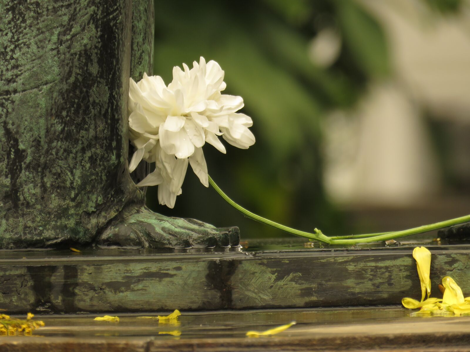 Canon PowerShot SX60 HS sample photo. Art, sculpture, flower photography