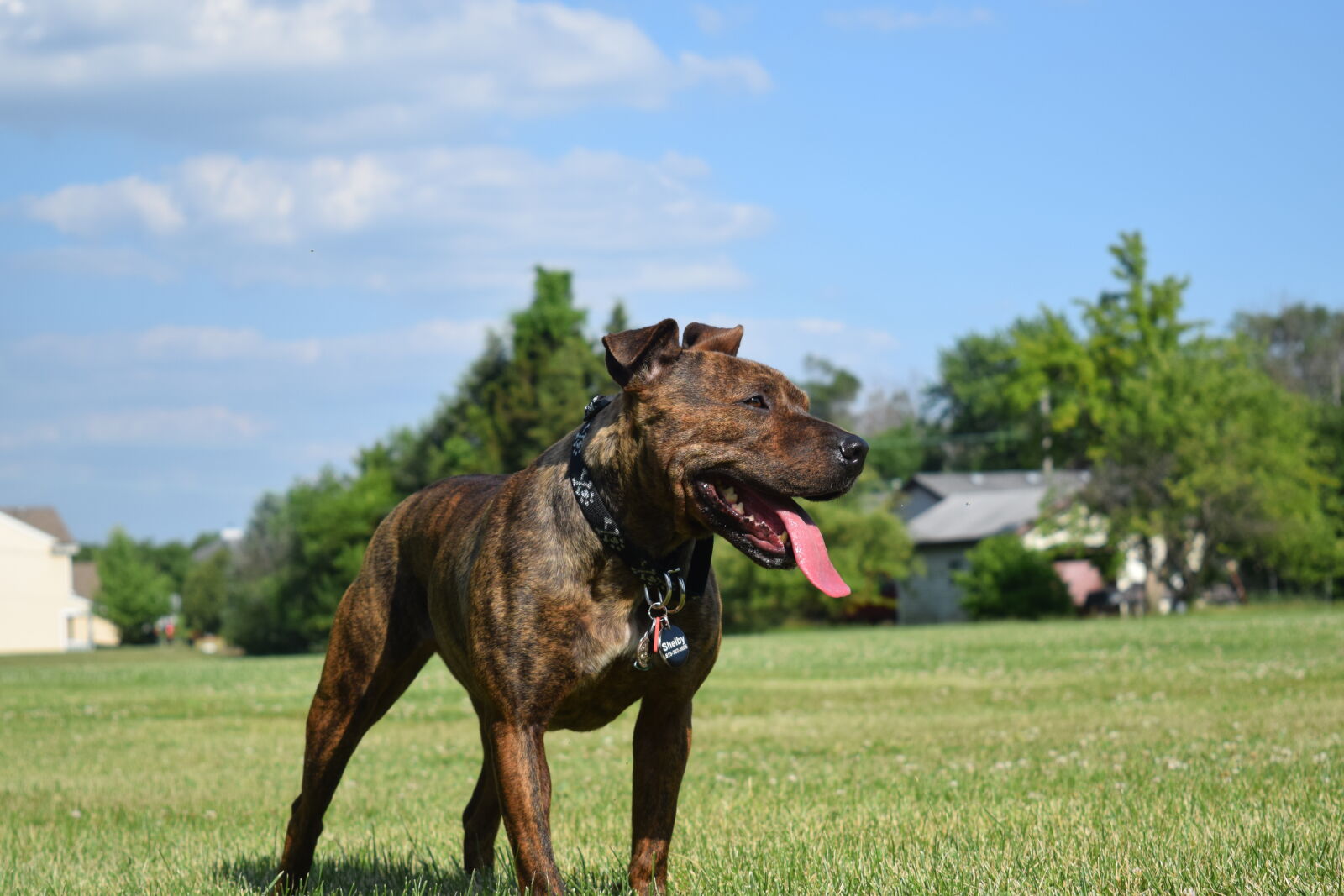 Nikon D3300 sample photo