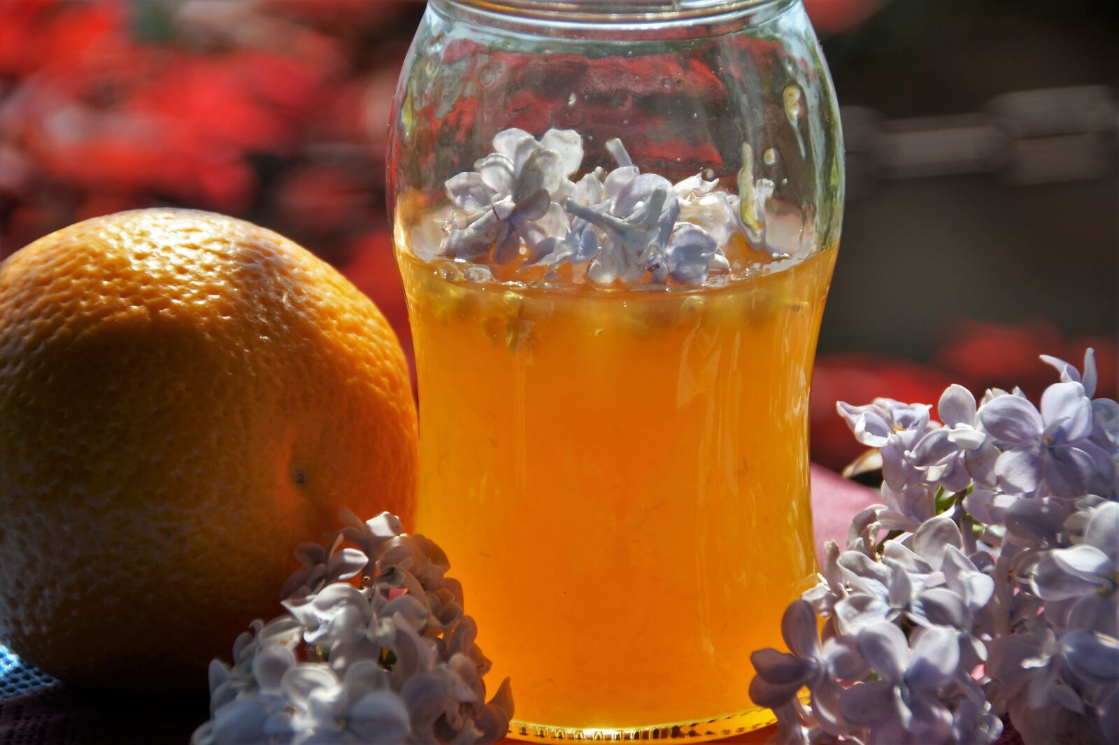 Sony SLT-A58 sample photo. Lilac, without, orange photography