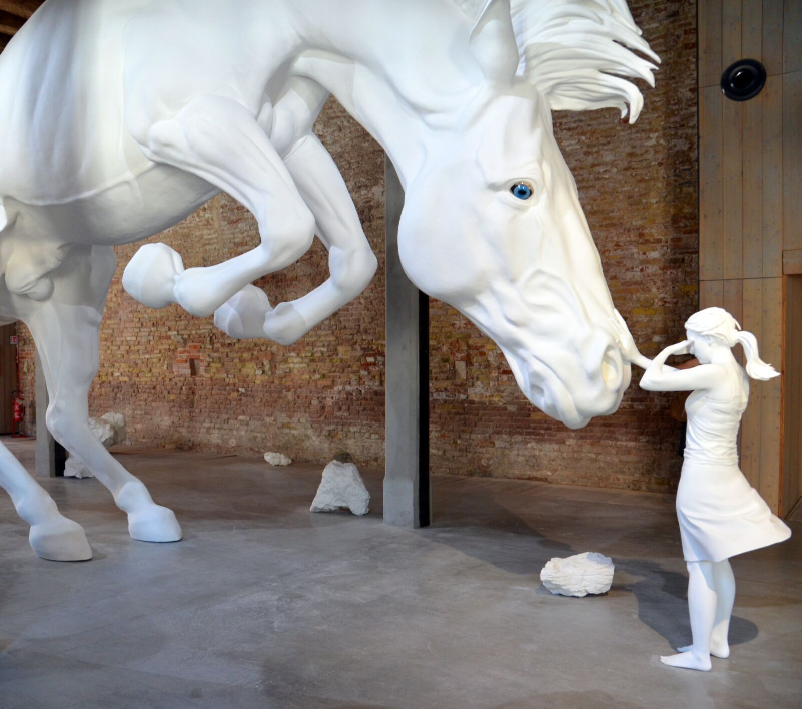 Nikon D7000 sample photo. Girl, horse, trust photography