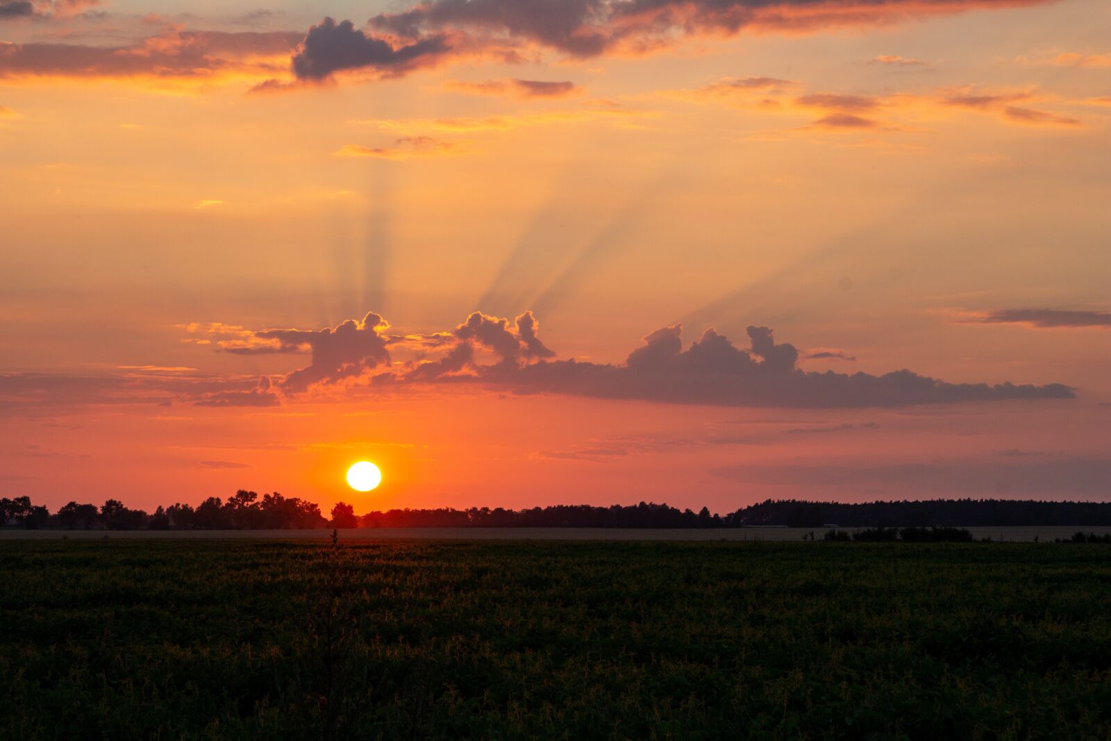 Canon EOS 100D (EOS Rebel SL1 / EOS Kiss X7) sample photo. Sunset, the sun, west photography