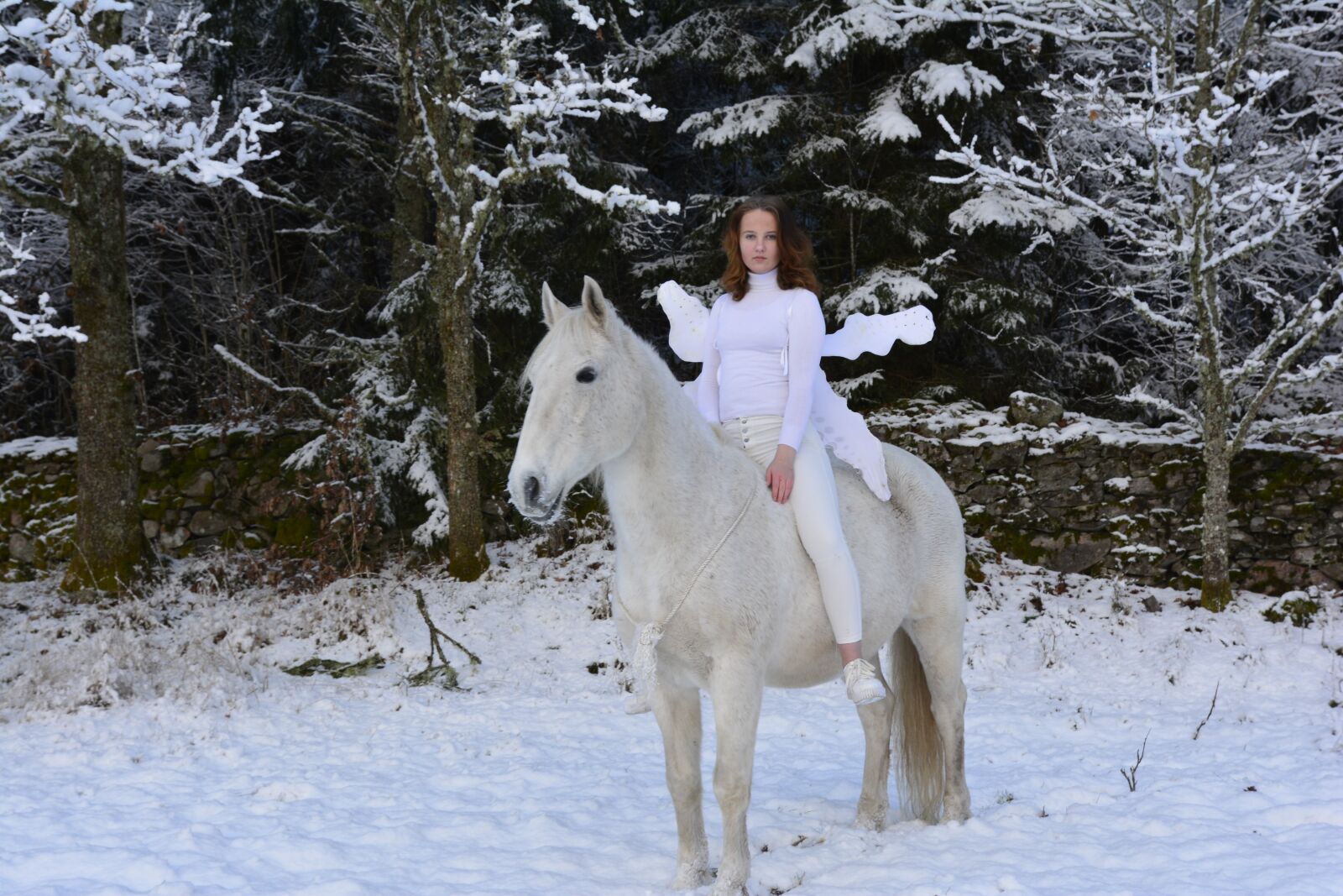 Nikon D7100 sample photo. Snow, beautiful, horse photography