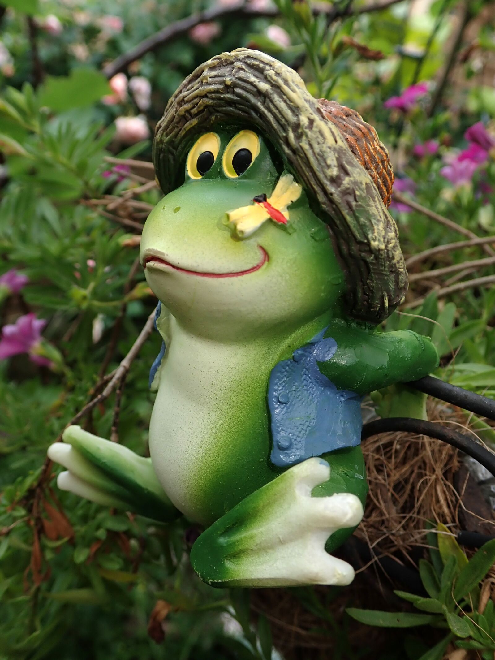 Olympus TG-5 sample photo. Frog, pot hanger, ornament photography