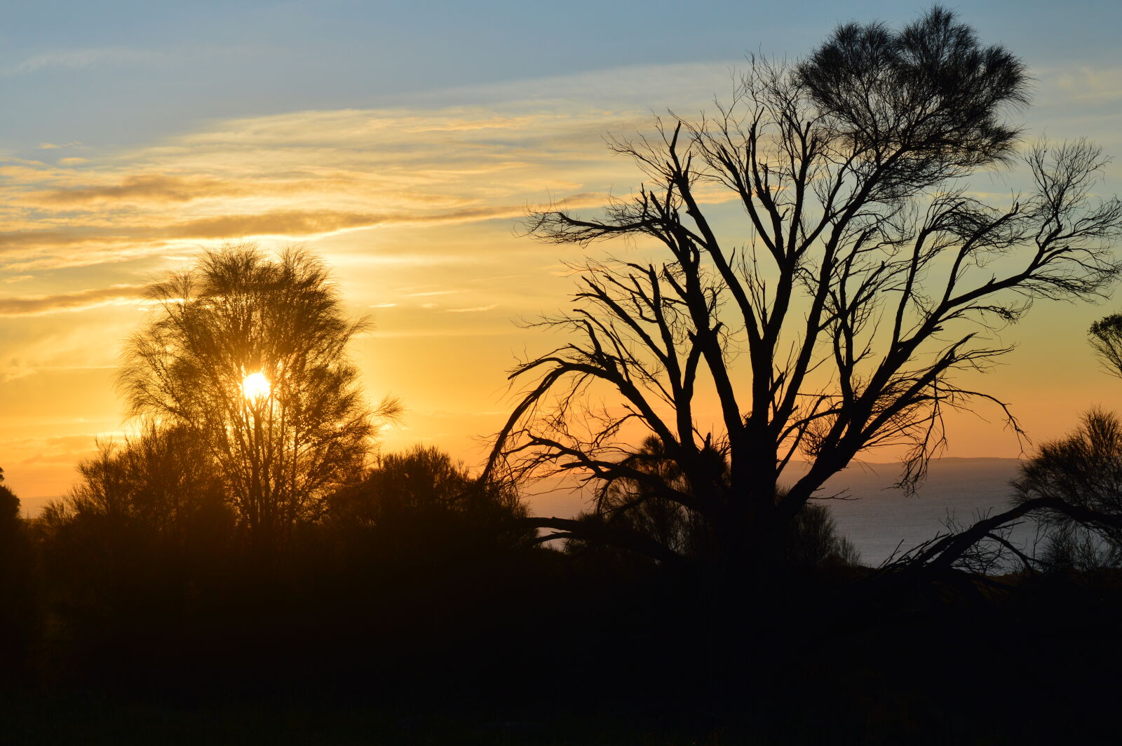 Nikon D3200 sample photo