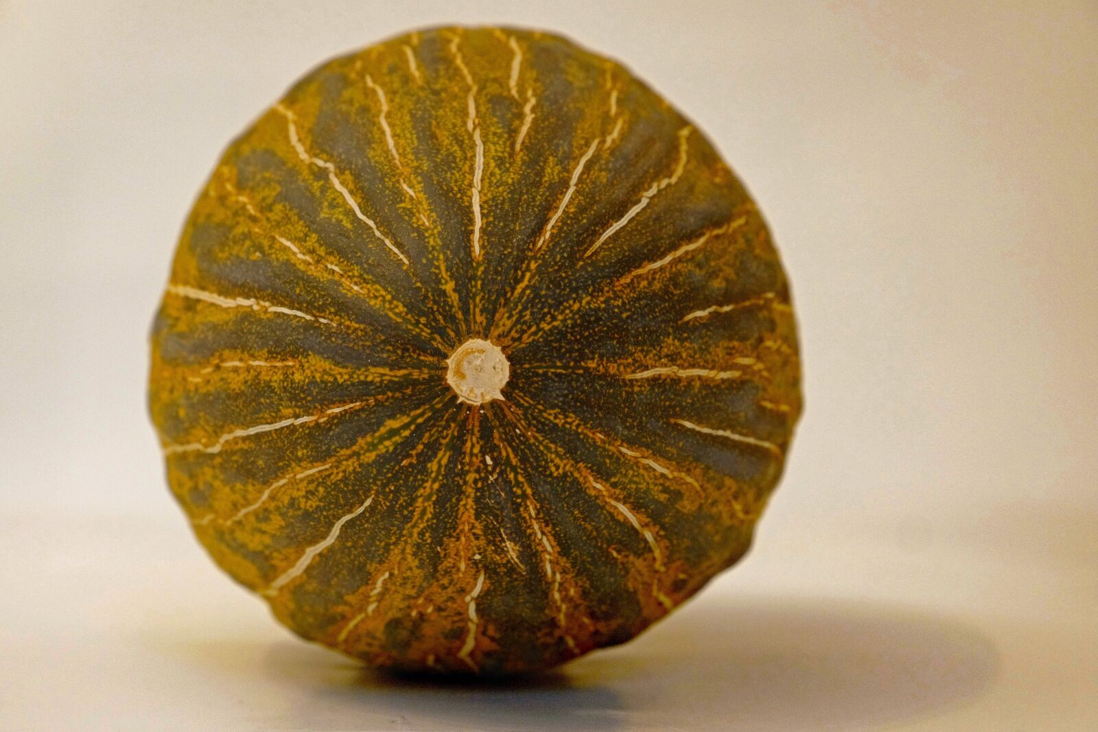 Vario-Elmar TL 1:3.5-5.6 / 18-56 ASPH. sample photo. Melon, cantaloupe, fruit photography