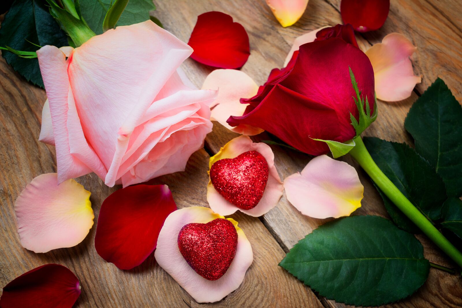 Nikon D5200 sample photo. Flowers, romantic, love photography