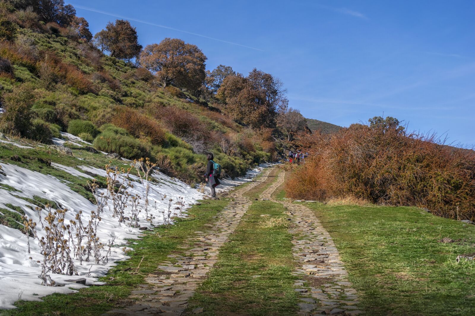 Nikon D3300 sample photo. Path, autumn, landscape photography