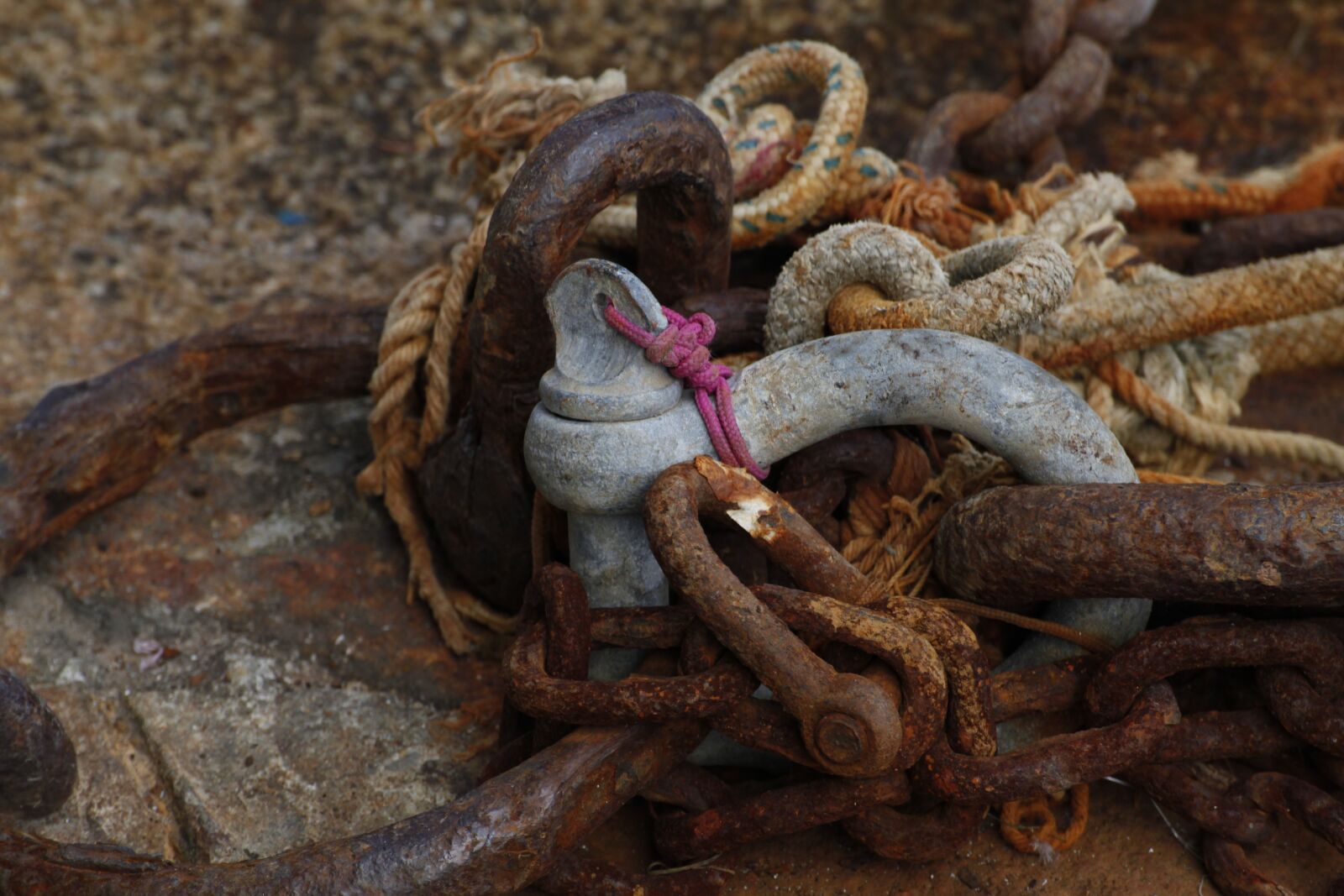 Canon EOS 5D Mark II sample photo. Rust, sea, old photography
