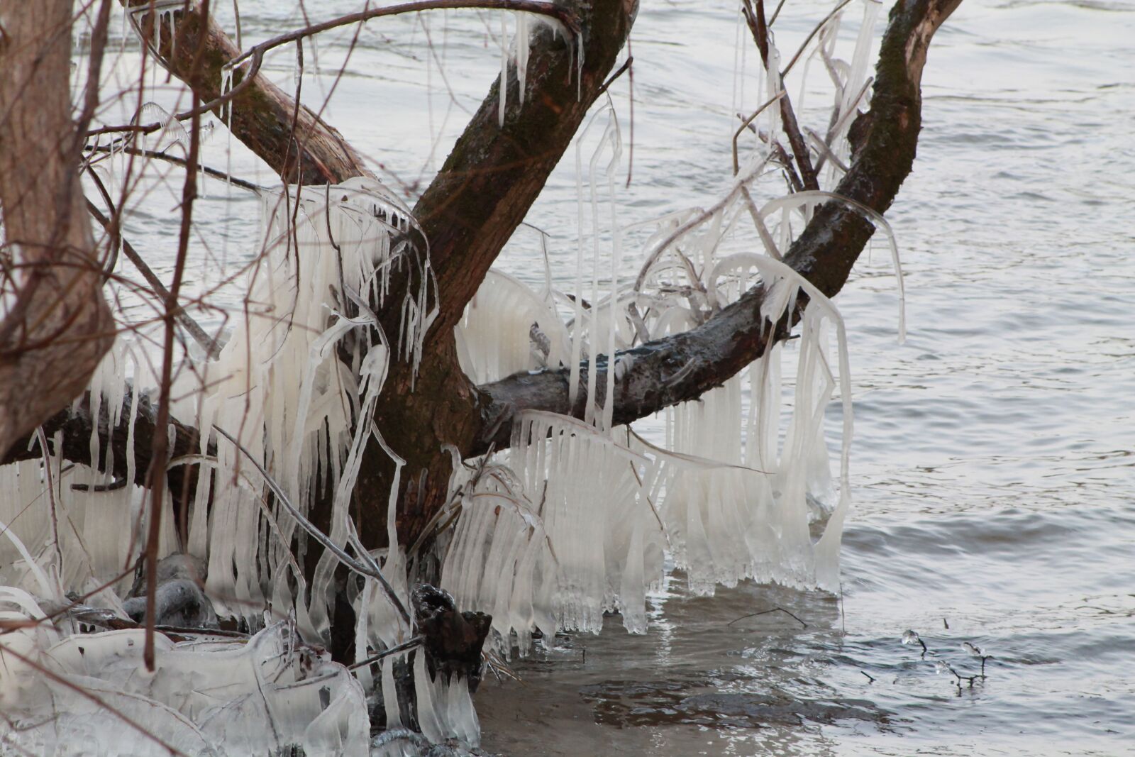 Canon EOS 1100D (EOS Rebel T3 / EOS Kiss X50) sample photo. Ice, cold, winter photography