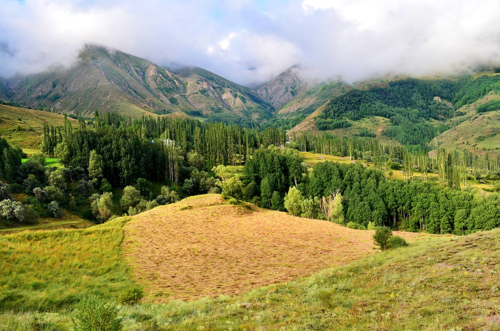 Nikon D5100 sample photo. Nature, landscape, kaçkars photography