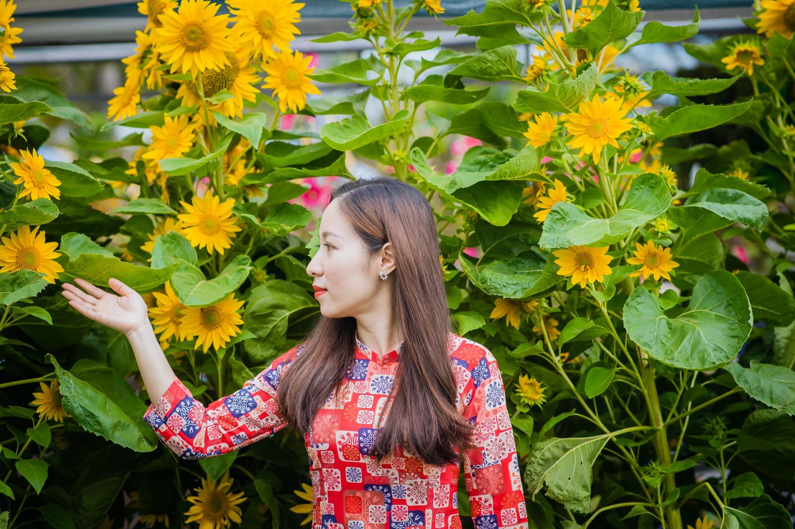 Nikon D3 sample photo. Girl, woman, people photography