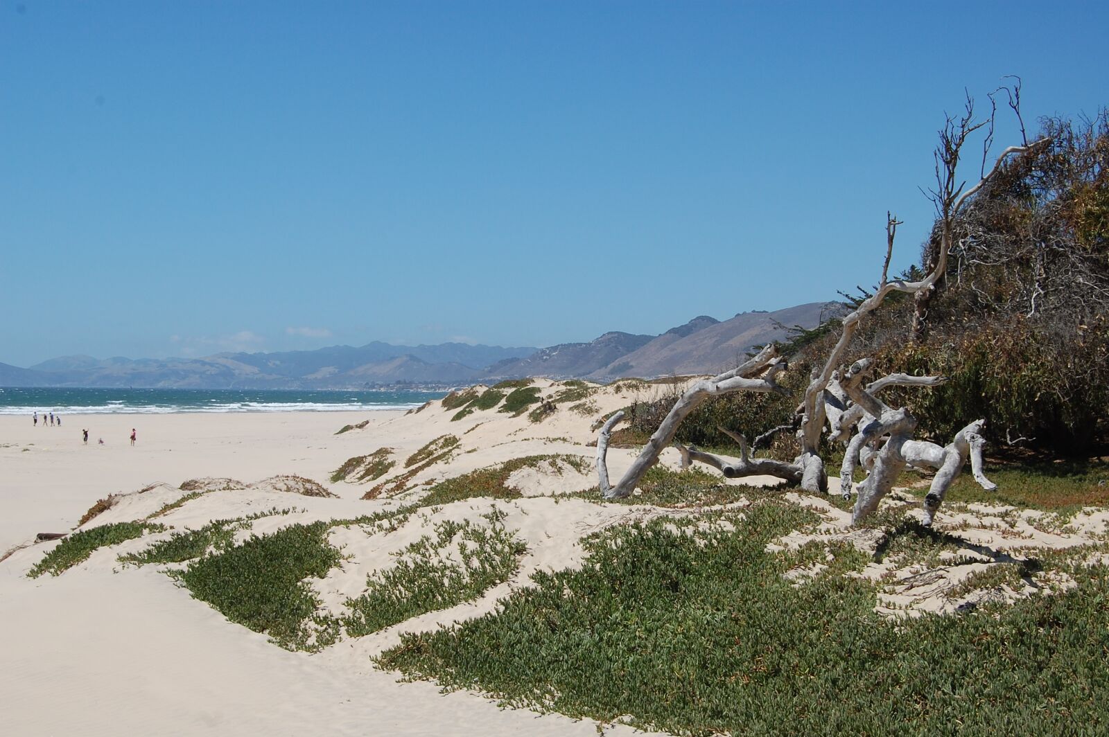 Nikon D40 sample photo. Beach, coast, dunes photography