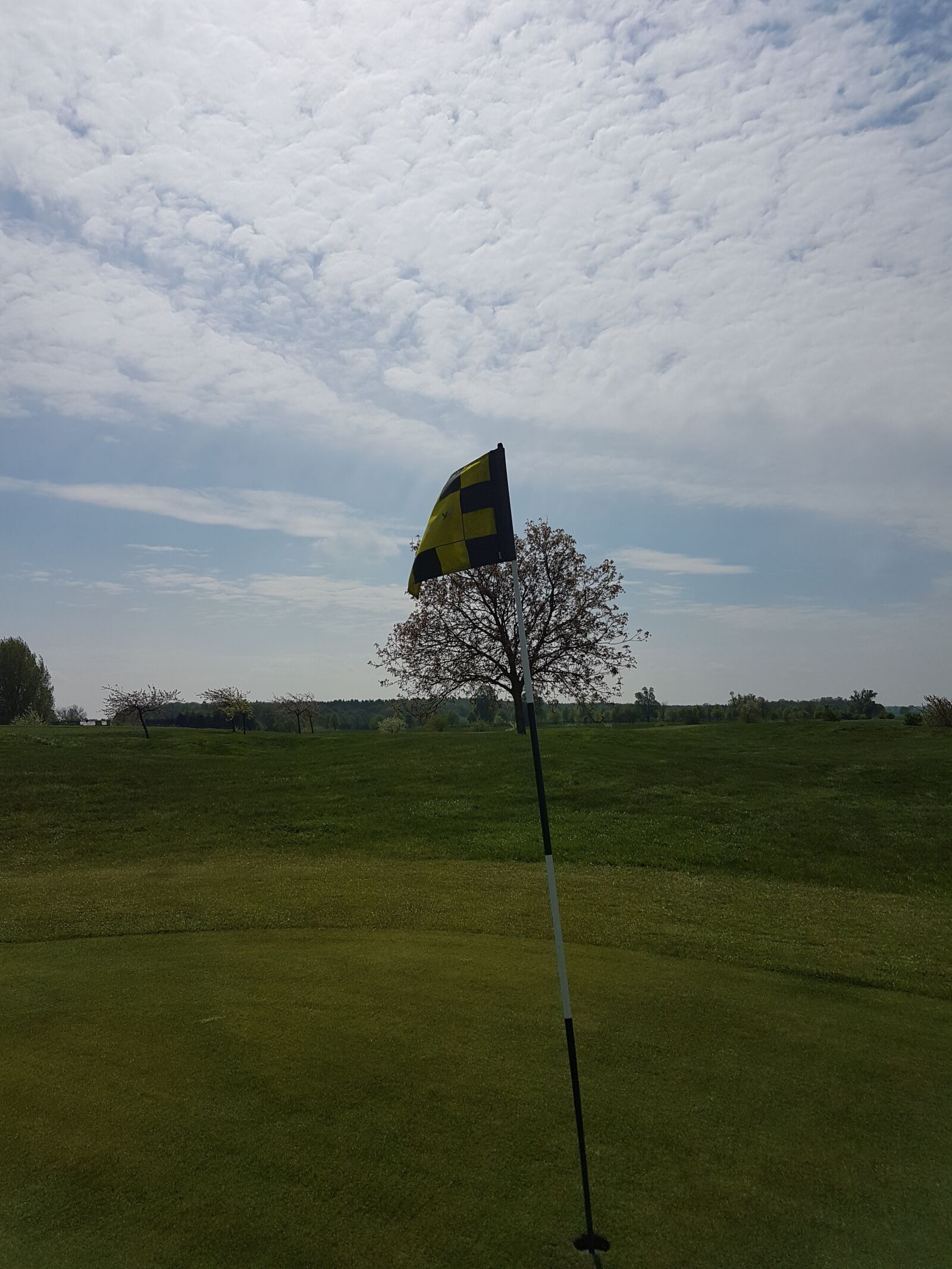 Samsung Galaxy S7 sample photo. Golf, natur, golflounge photography