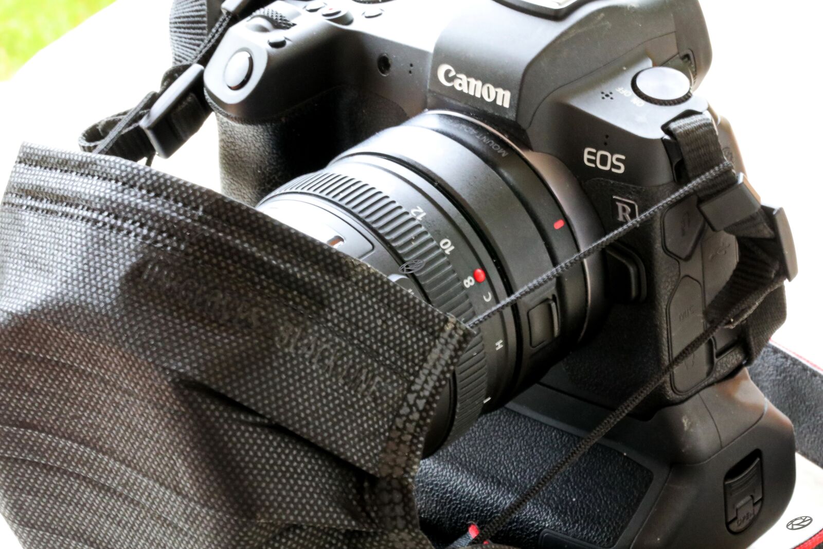 Canon EOS 5D Mark IV + Canon EF 100mm F2.8L Macro IS USM sample photo. Corona, virus, epidemic photography