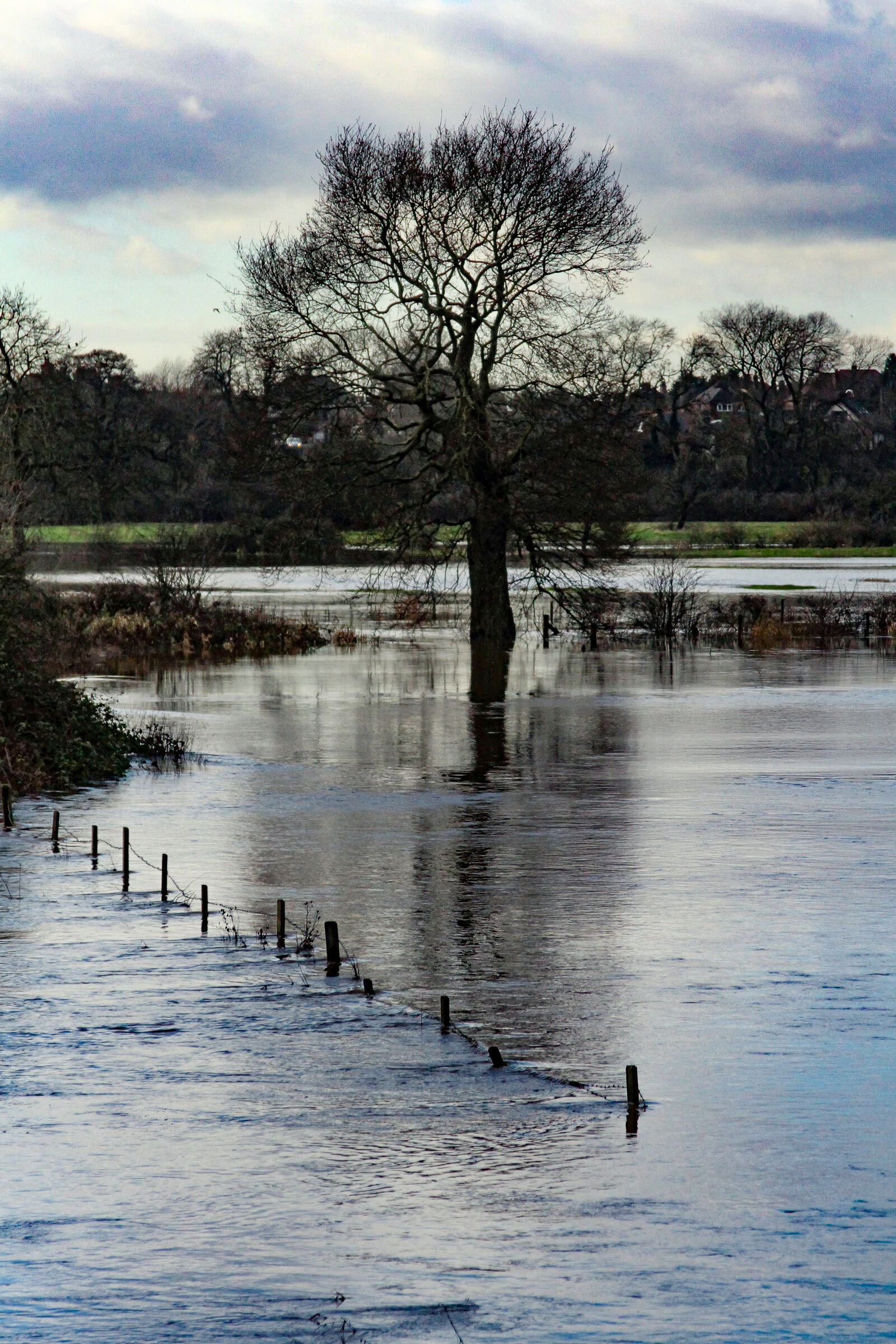 Canon EF 24-105mm F4L IS USM sample photo. Clouds, fence, flood, grass photography