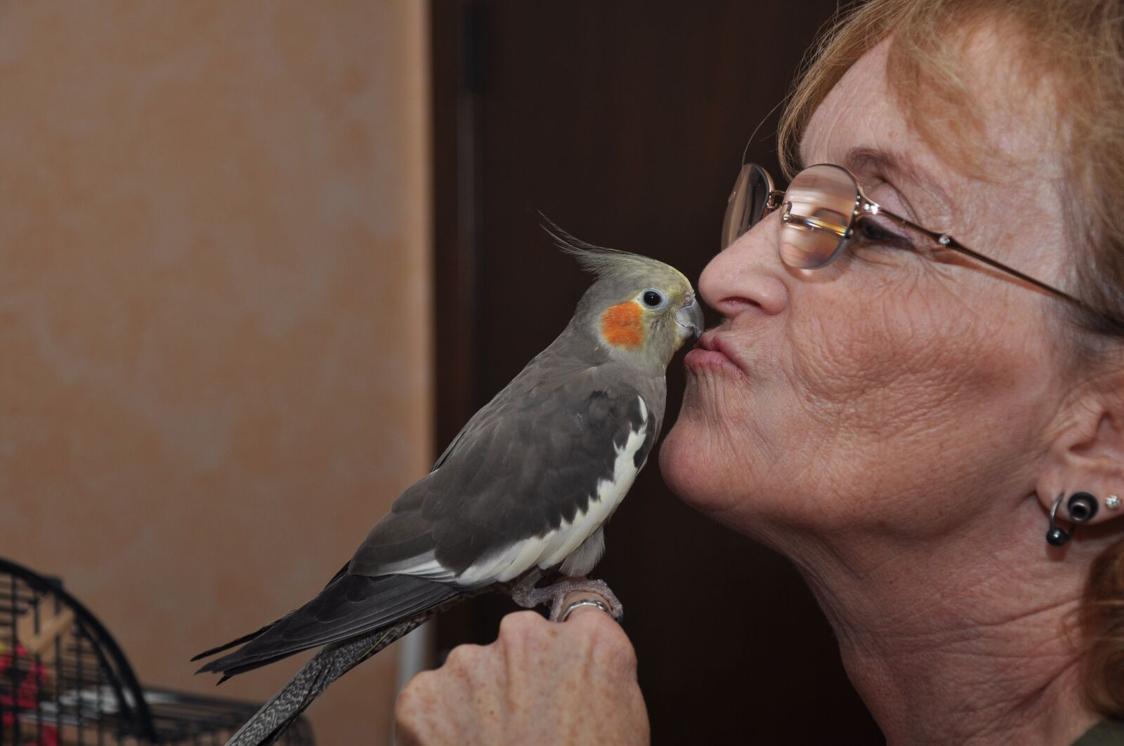 Nikon D90 sample photo. Cockatiel, bird, pet photography