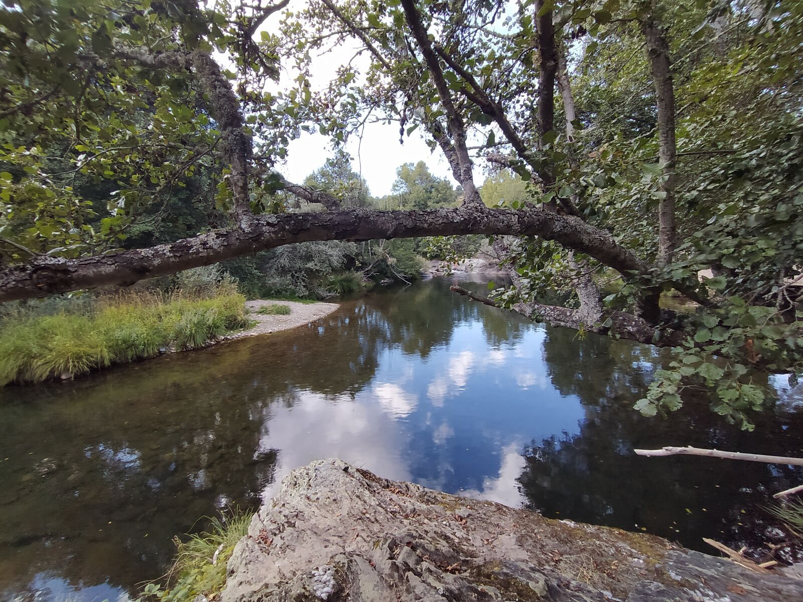 Xiaomi Mi A3 sample photo. Hug, nature, river photography