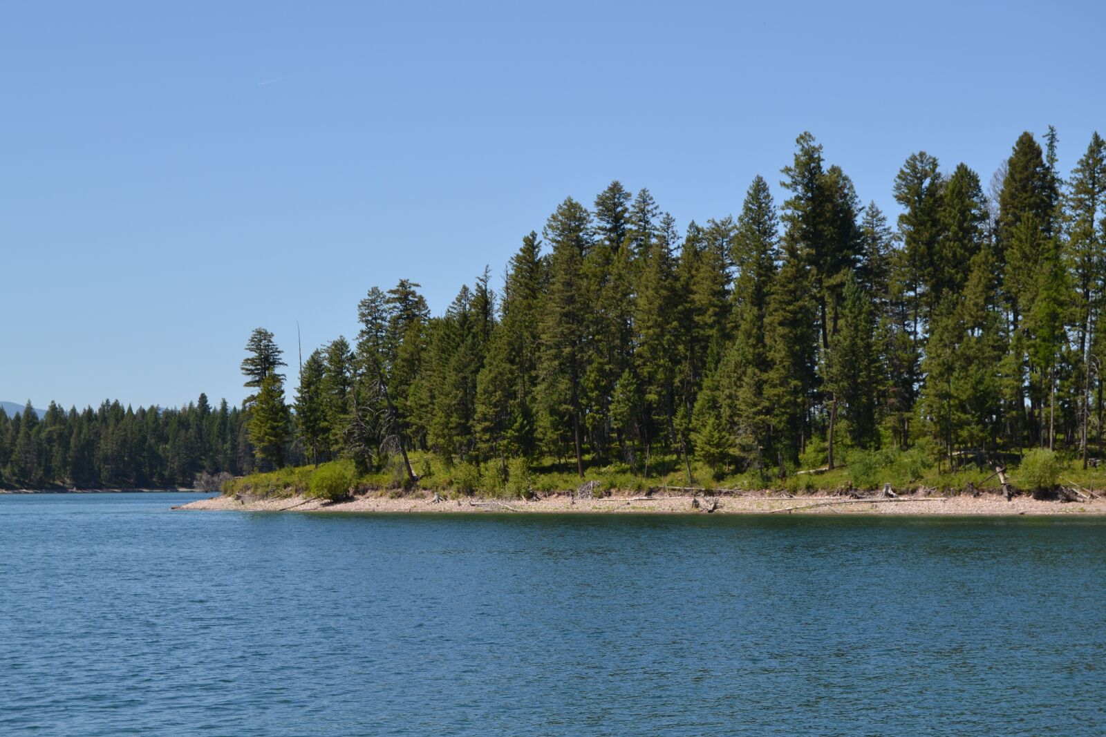 Nikon D3100 sample photo. Lake, shore, tree photography