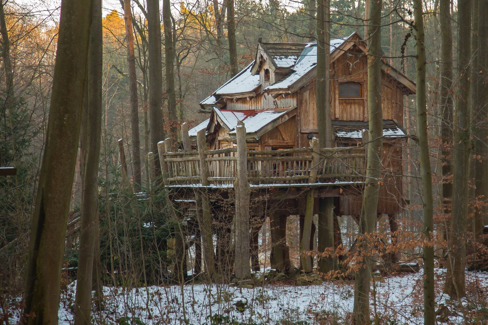 Canon EF 24-105mm F4L IS USM sample photo. Woodhouse, treehouse, tree hut photography