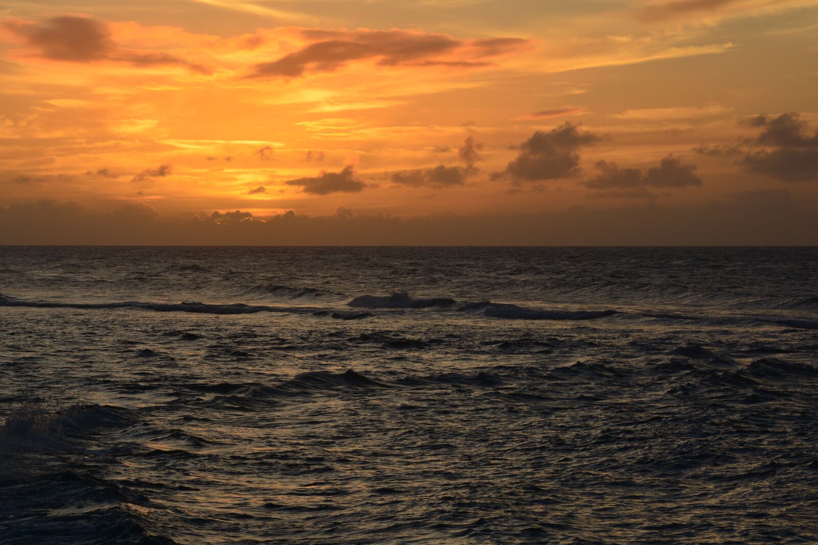 Nikon D7100 sample photo. Hawaii, sunset, summer photography