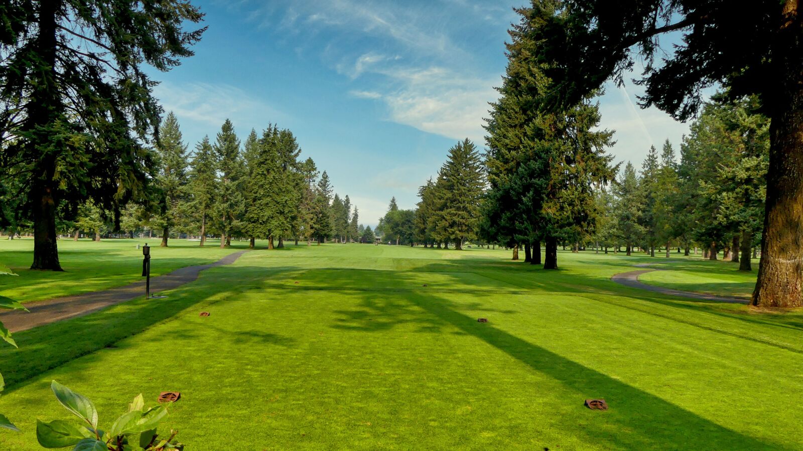 Panasonic Lumix DMC-FZ300 sample photo. Golf, trees, outdoors photography