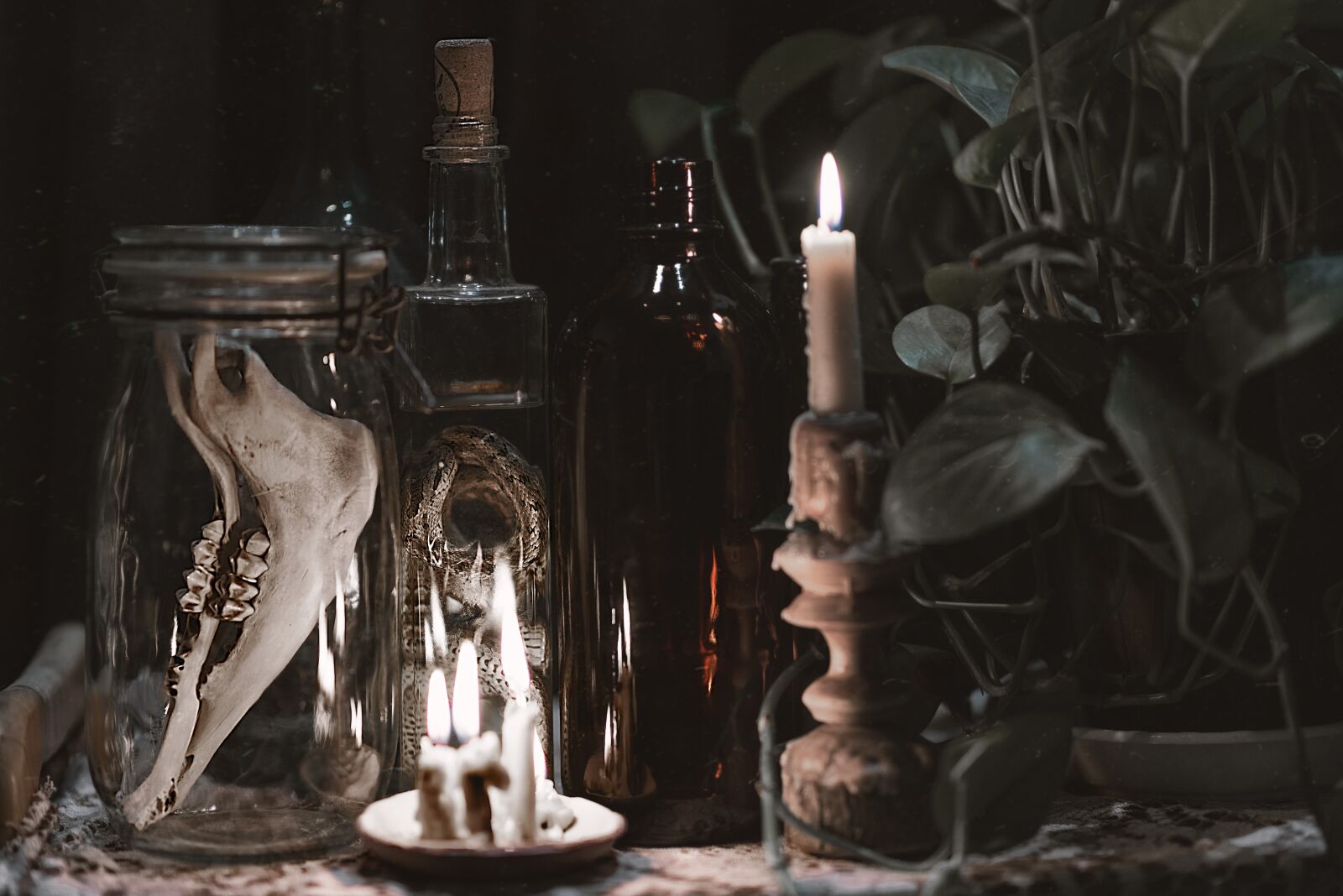 Nikon D750 sample photo. Installation, skull, light photography