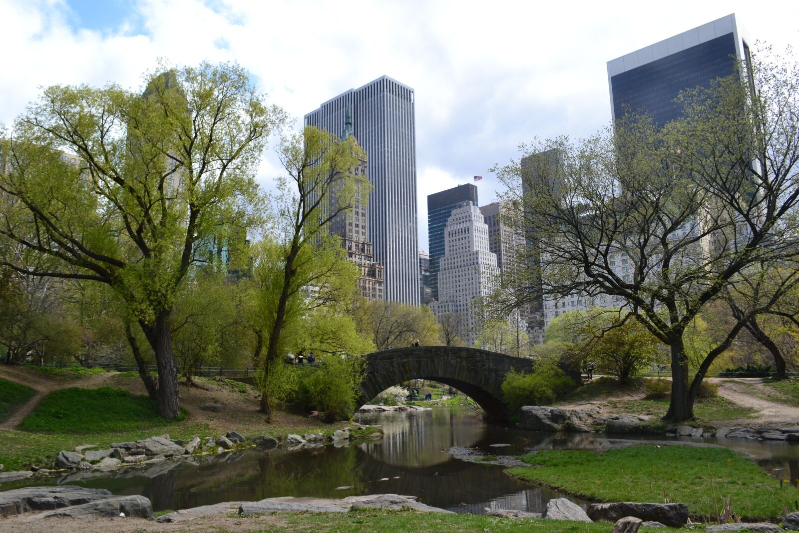 Nikon D3100 sample photo. Central park, new york photography