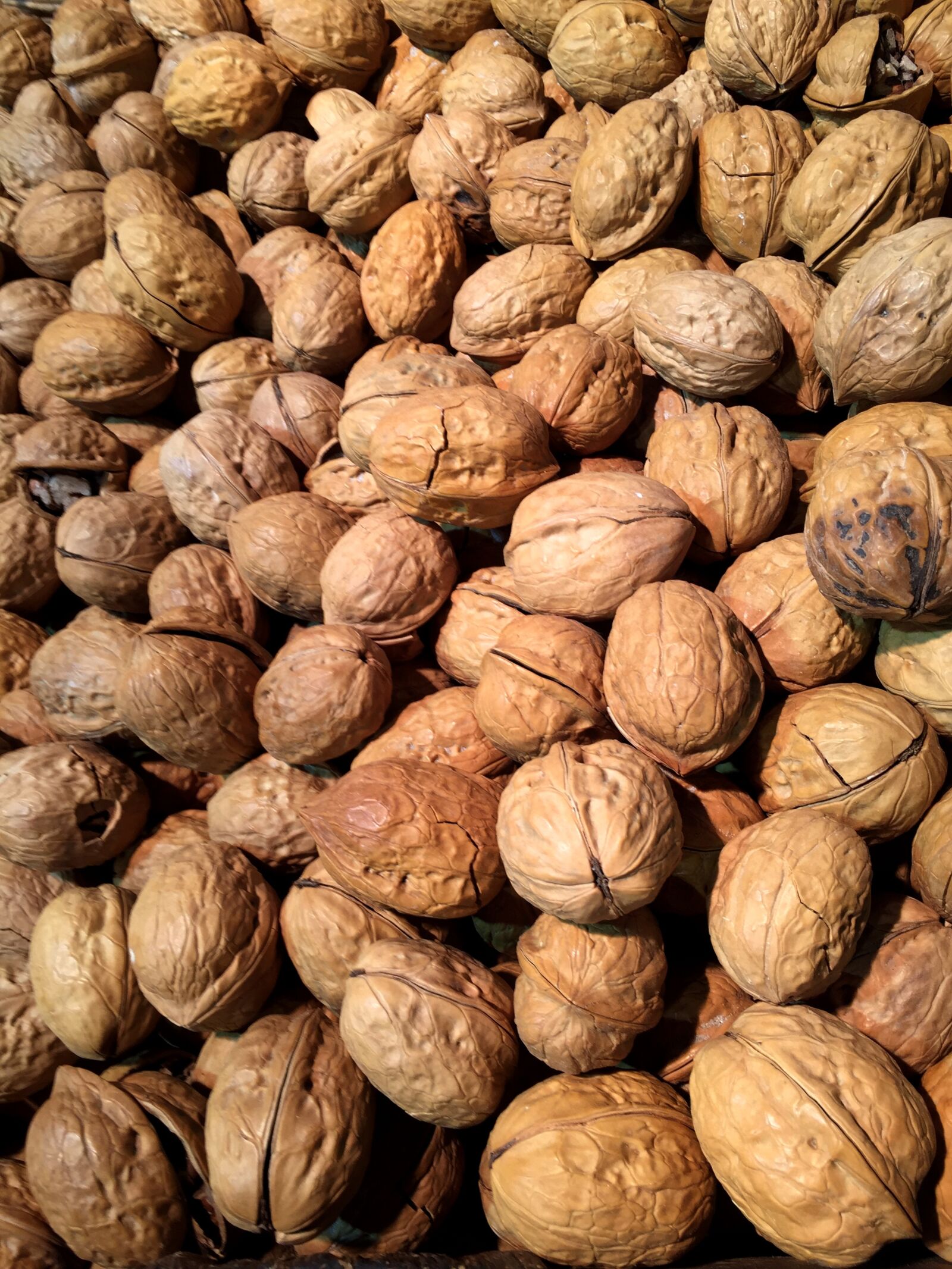 Apple iPhone 6 sample photo. Walnut, stone fruit, nut photography