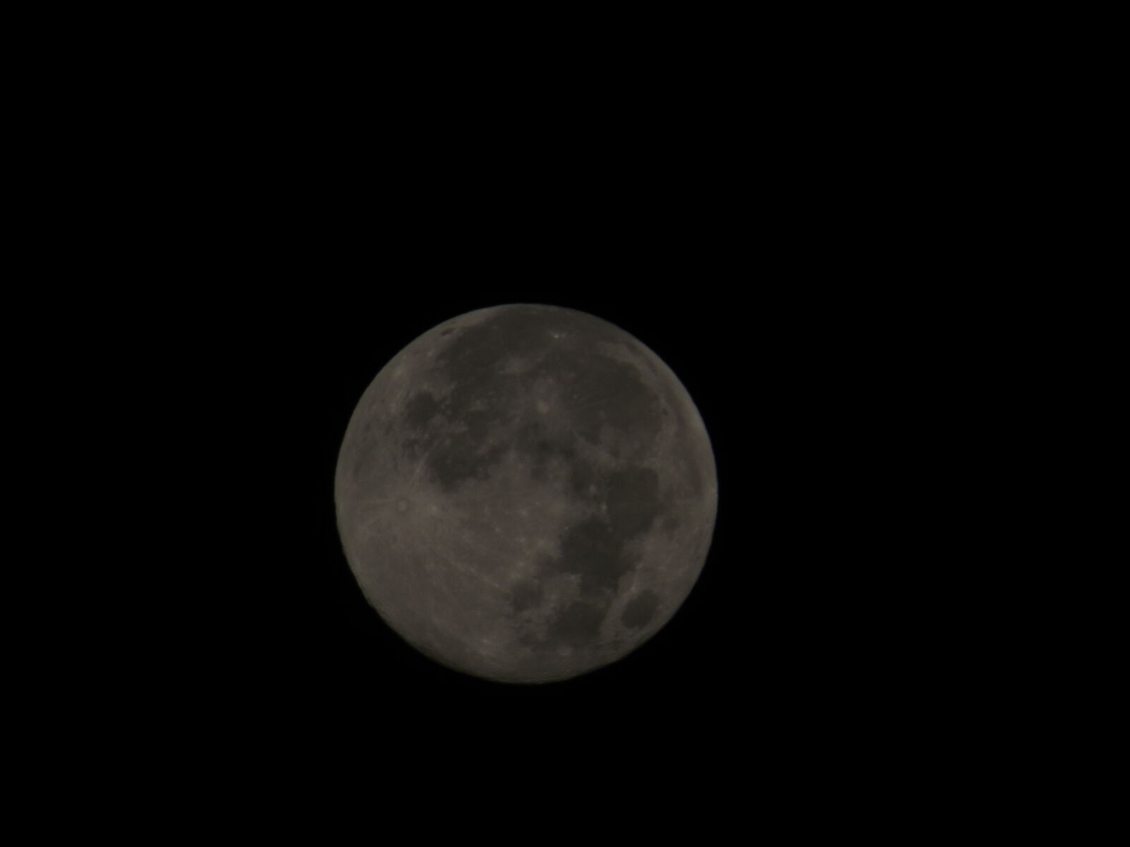Canon PowerShot SX50 HS sample photo