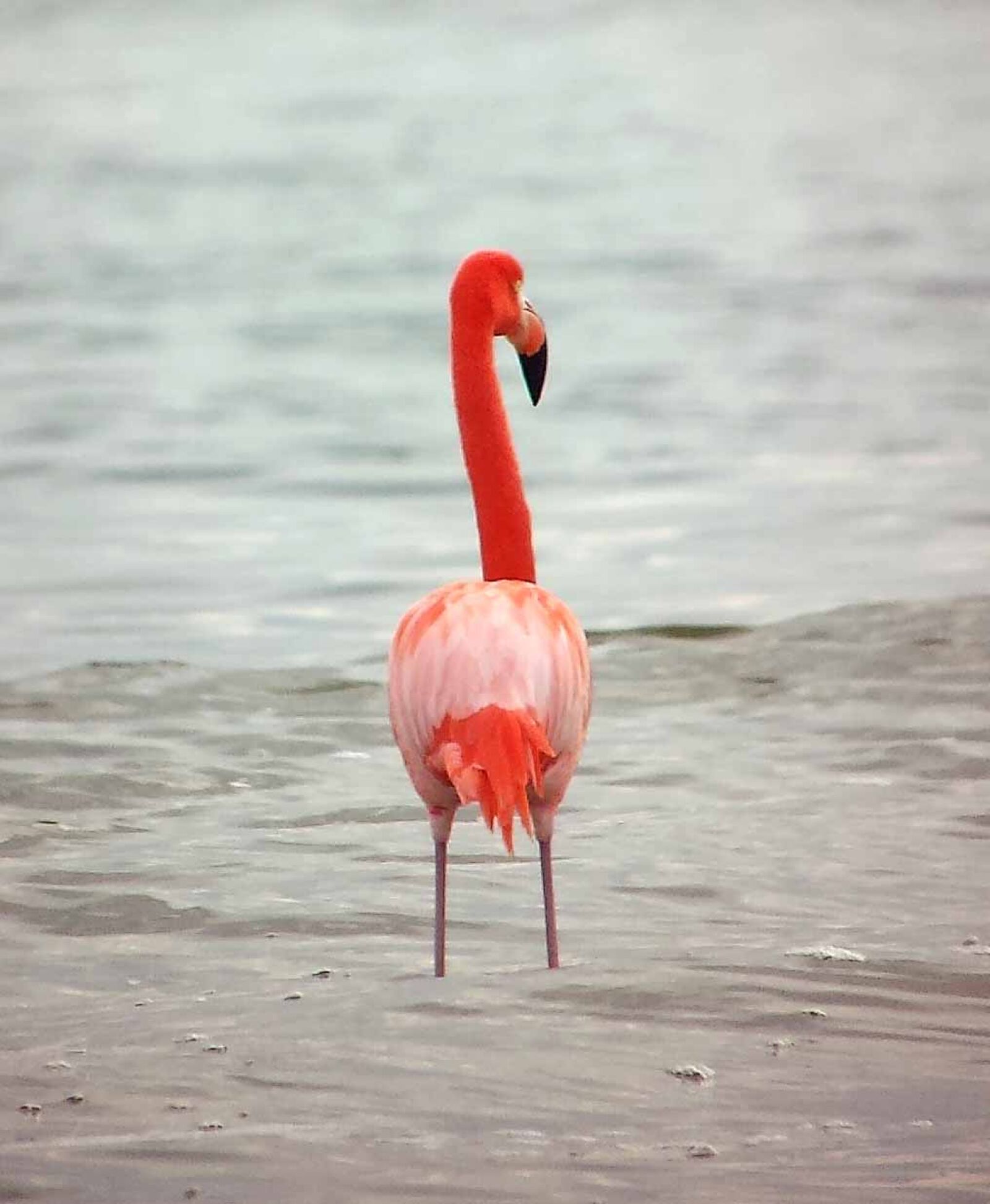 Samsung Galaxy S4 sample photo