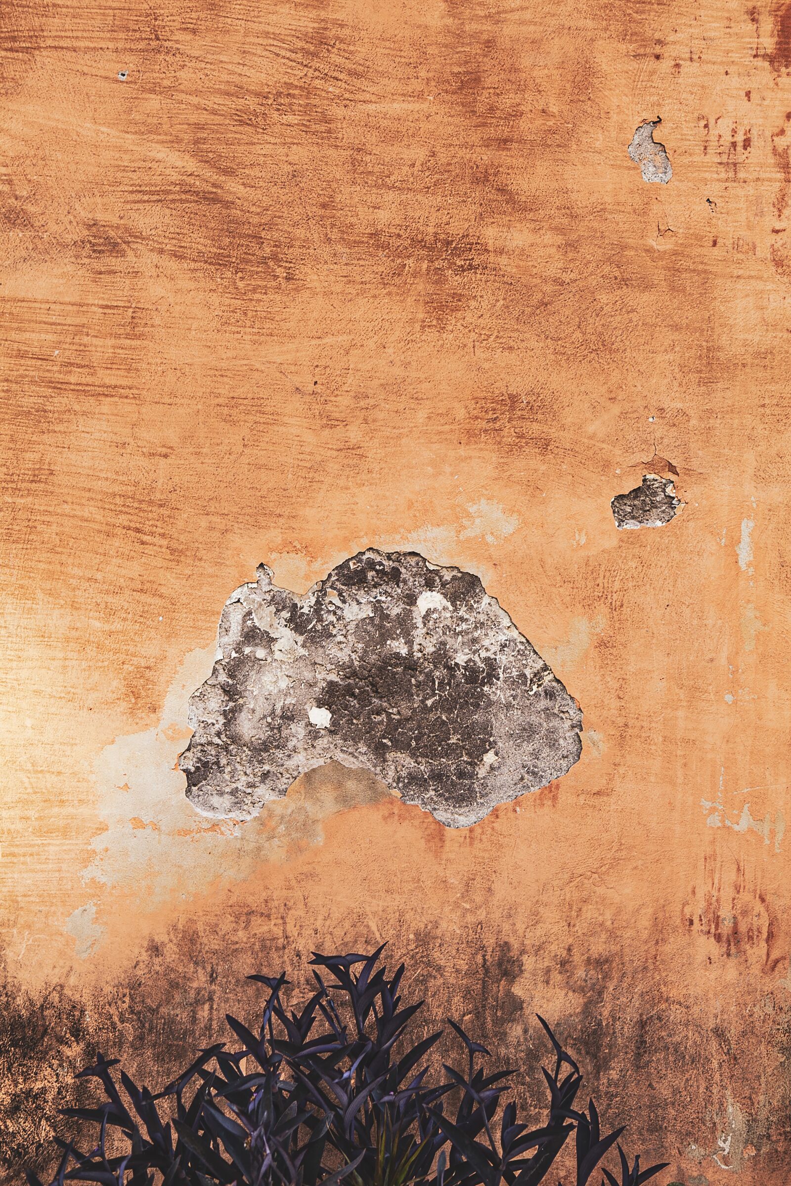 Canon EOS 5D Mark II sample photo. Wall, rome, old photography