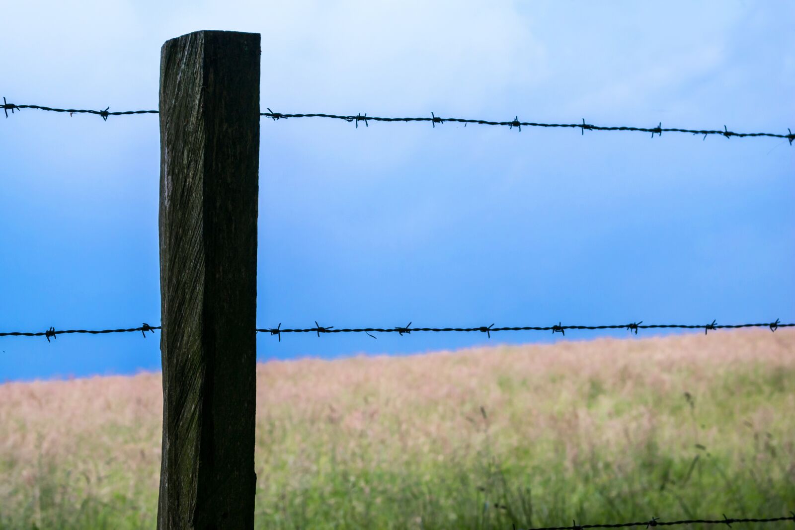 Samsung NX300M sample photo. Fence, barbed wire, pasture photography