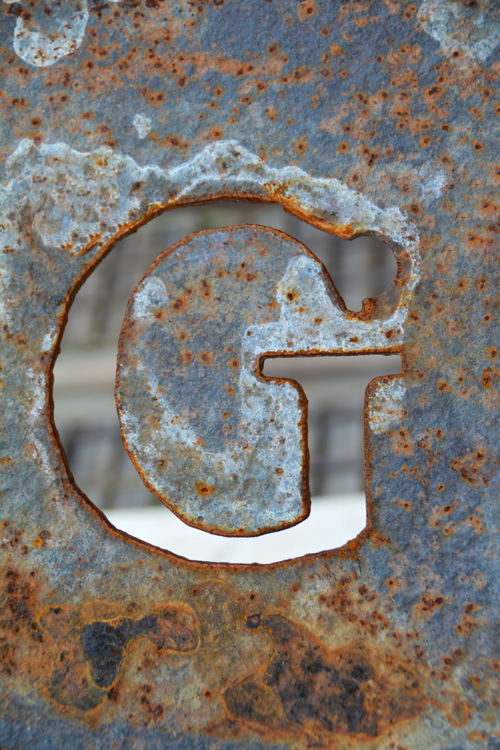 Nikon D5200 sample photo. Letter g, g, alphabet photography