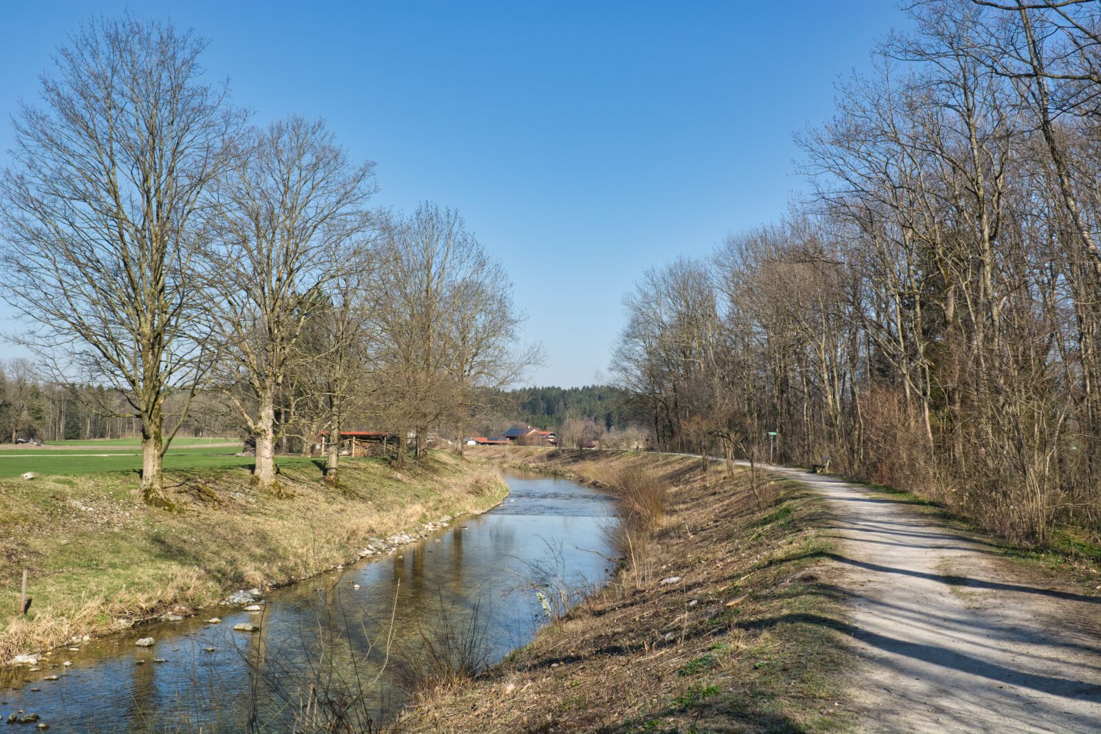 Nikon D7100 sample photo. Spring, river, trees photography