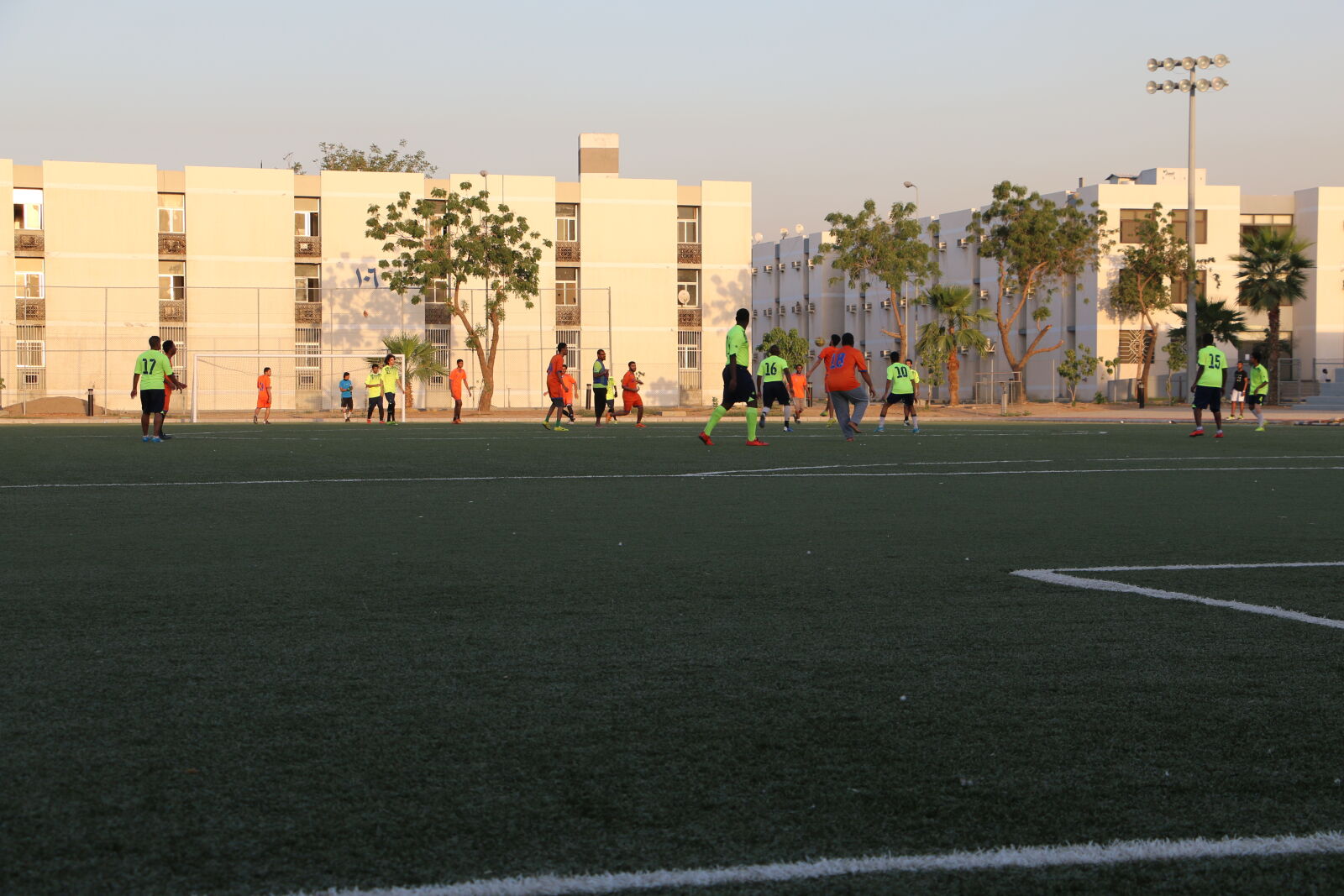 Canon EOS 70D sample photo