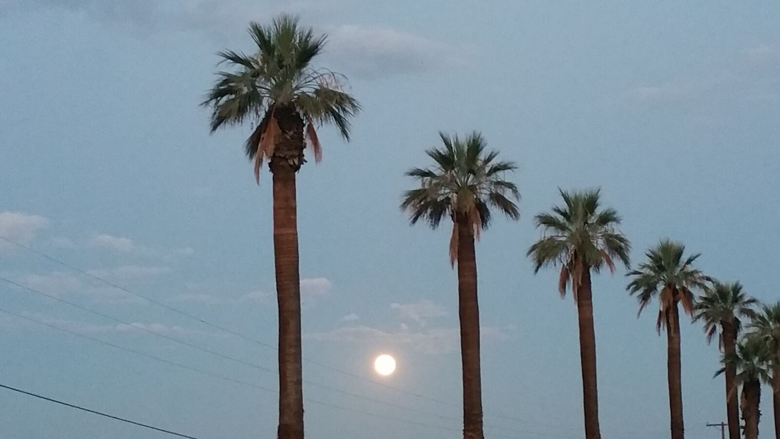 Samsung Galaxy Note4 sample photo. Palm, tree, palms, sunset photography