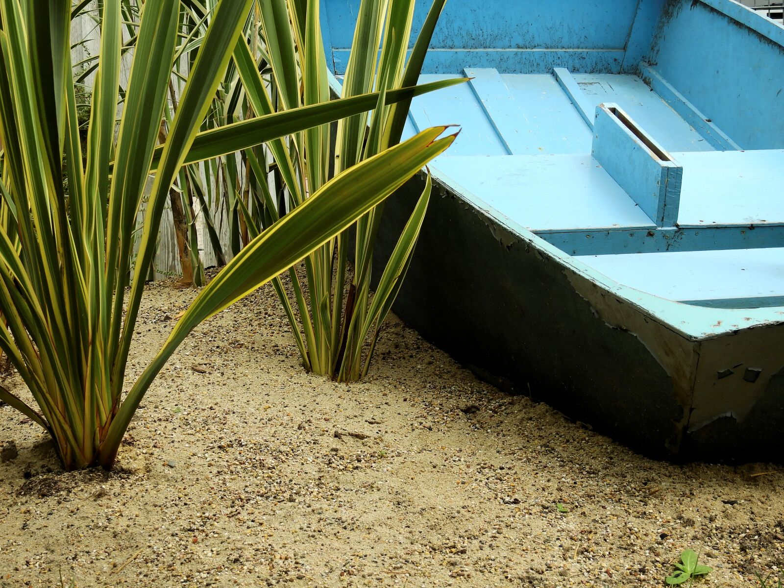 Nikon Coolpix P900 sample photo. Boat, ship, reed photography