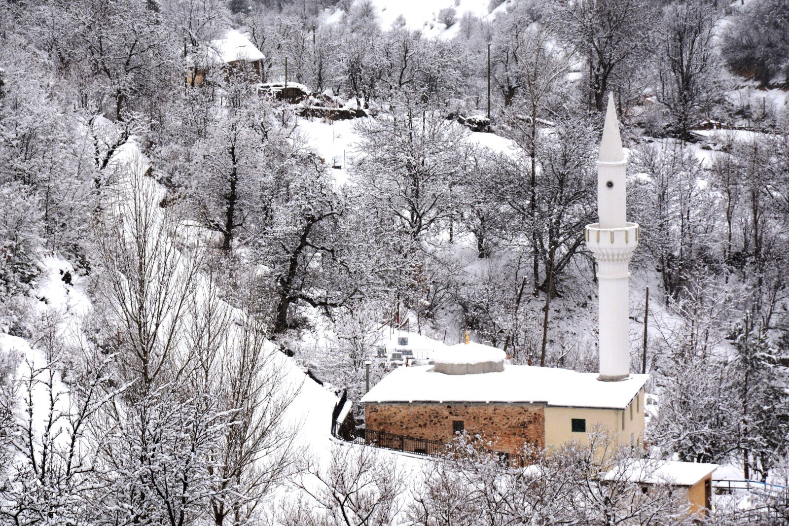 Nikon D7100 sample photo. Snow, white, cami photography