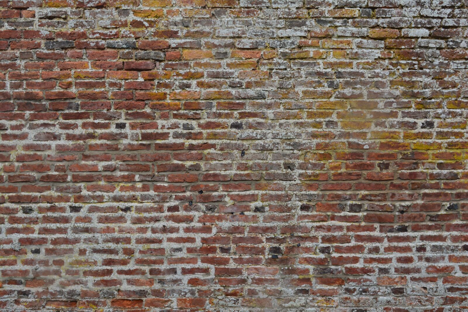Nikon D5200 sample photo. Bricks, wall, rust photography