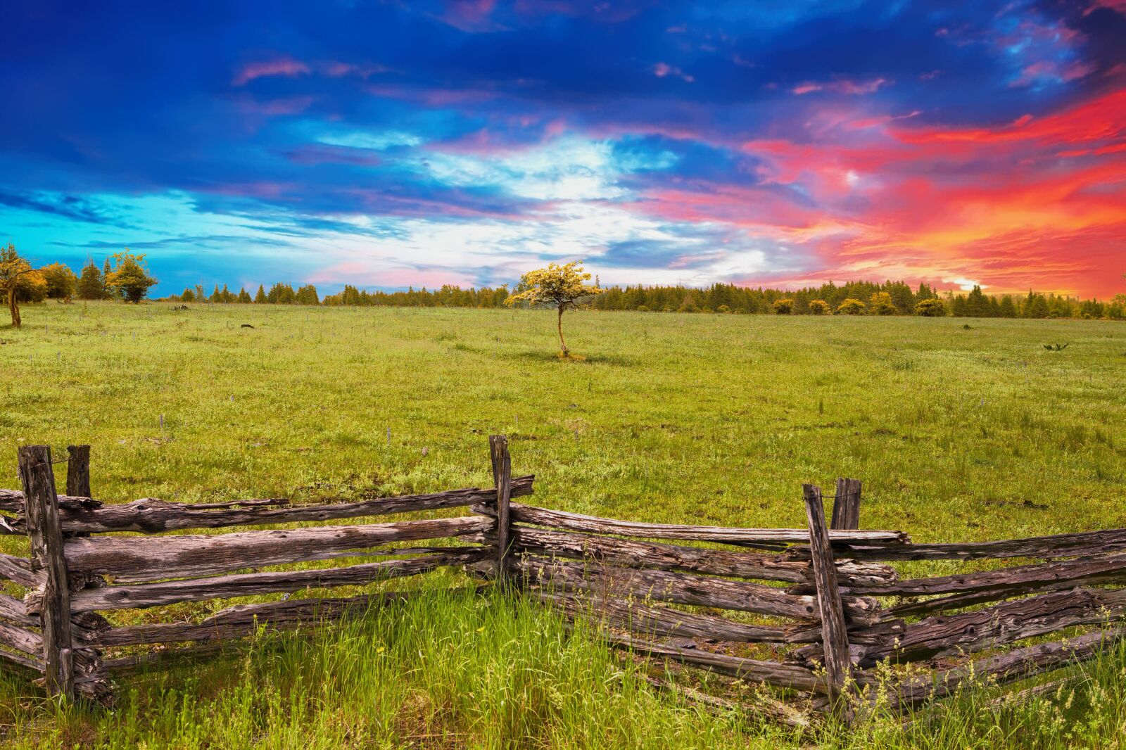 Canon EOS 5D Mark II sample photo. Fence, grass, agriculture photography