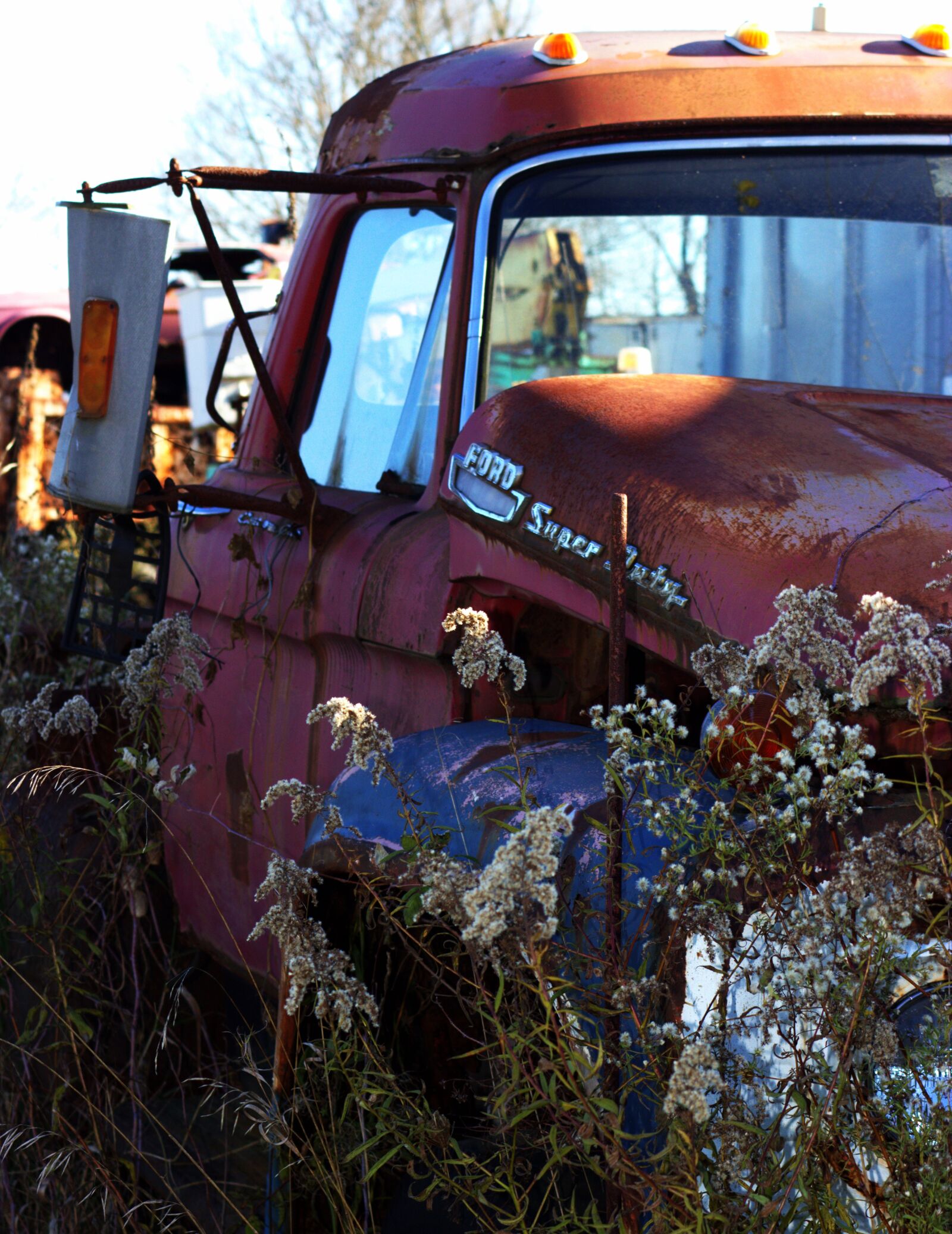 Canon EOS 600D (Rebel EOS T3i / EOS Kiss X5) + Canon EF 28-90mm f/4-5.6 sample photo. Salvage yard, car, wreck photography