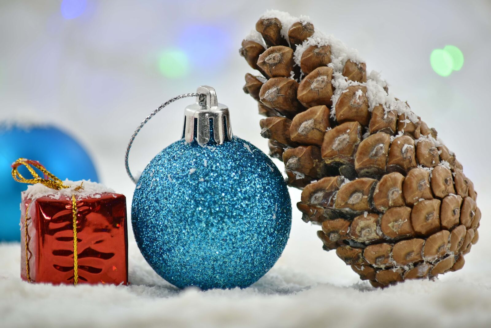 Nikon D5500 sample photo. Backlight, conifer, gifts, shining photography